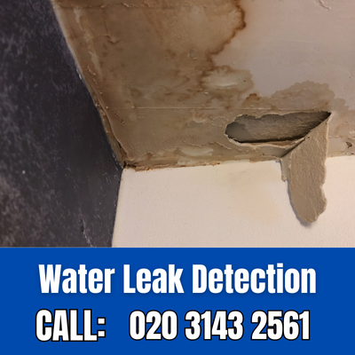 Expert Water Leak Detection Services in Kentish Town | Kentish Town Leak Detection